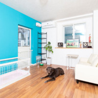 プレイルーム 82chocolateプレイルーム